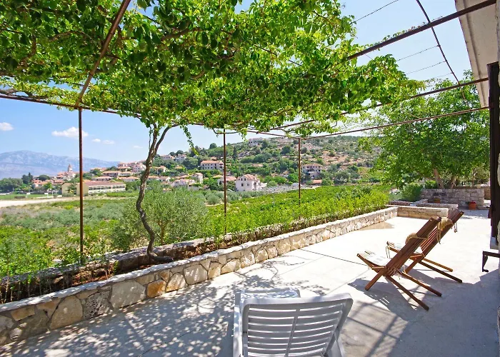 House Tonko * פוסטיר